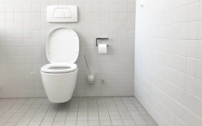 Toilet Trouble: Common Problems and How to Solve Them