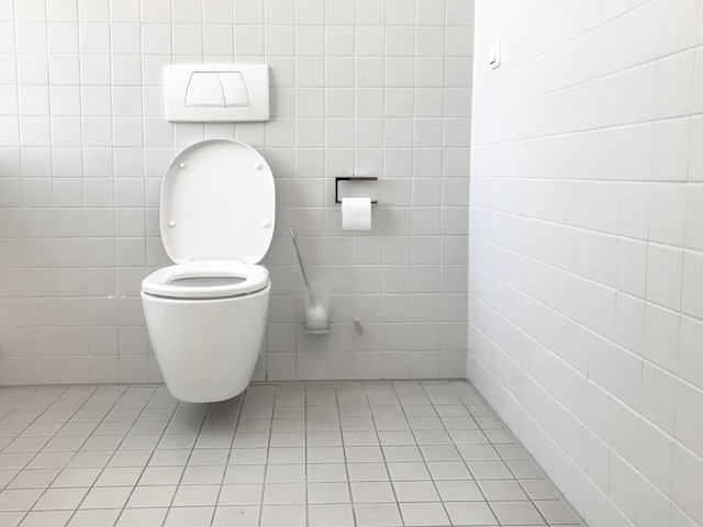 Toilet Trouble: Common Problems and How to Solve Them
